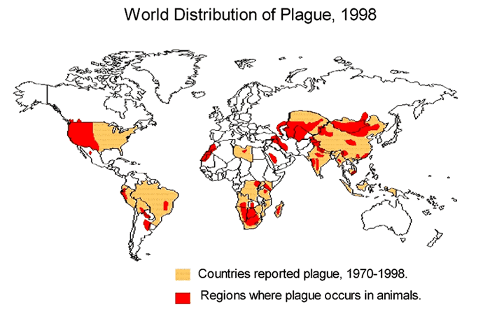 Plague: distribution of plague infected animals 1998